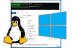 Create WSL2 Linux virtual machine(s) on Windows 10 and use it as a development environment